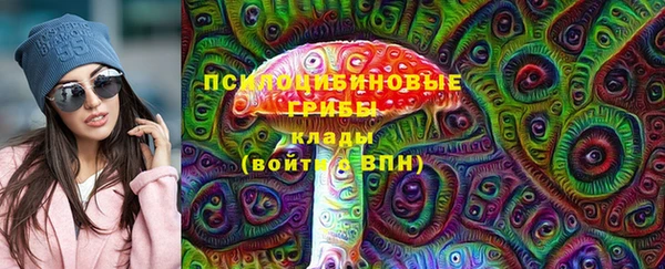 ГАЛЛЮЦИНОГЕННЫЕ ГРИБЫ Алексин