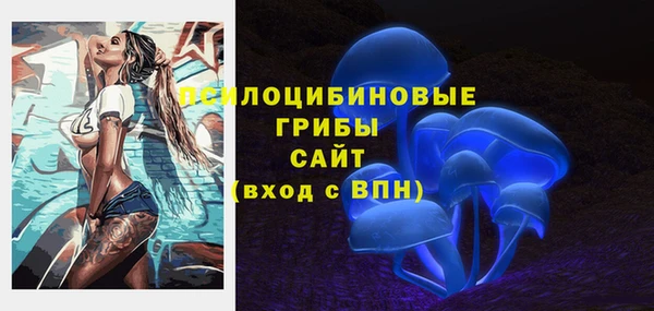 дживик Алексеевка