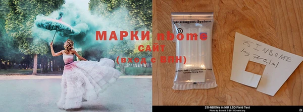 ГАЛЛЮЦИНОГЕННЫЕ ГРИБЫ Алексин