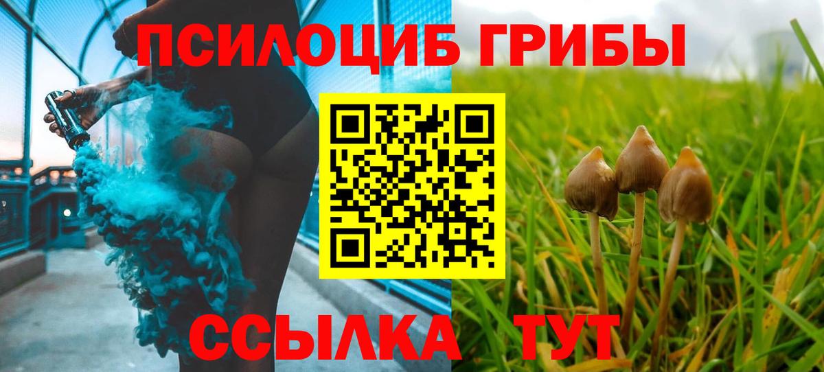 Псилоцибиновые грибы мухоморы Луга