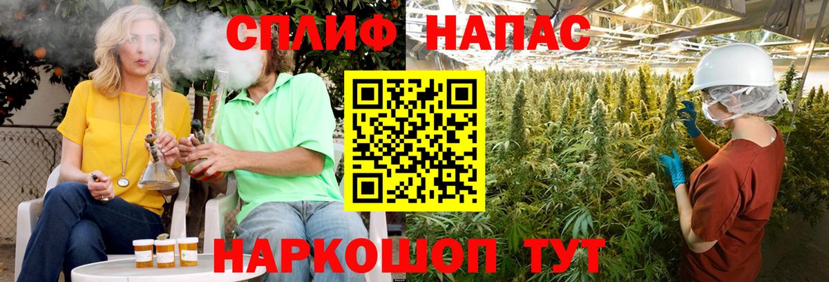 Бошки марихуана гибрид Луга